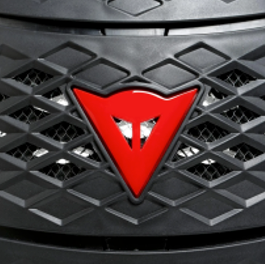 PRO SPEED G1 ESPALDERA INSERTA DAINESE - Imagen 4